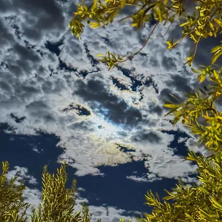 Vamos Luxury tent Ayvacik (Canakkale)