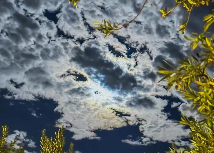 Vamos Glamping Ayvacik (Canakkale)