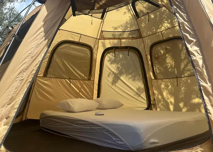 Vamos * Ayvacik (Canakkale)